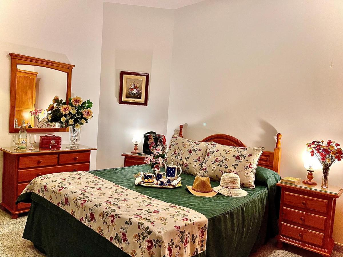 Emycanarias Holiday Homes Vecindario مْبيسينداريو المظهر الخارجي الصورة